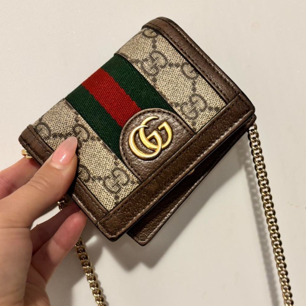 Gucci Brown and Green Wallet on Chain